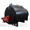 Газовый парогенератор 700 кг