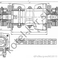 Ротор забрасывателя Т67.19.000 М2
